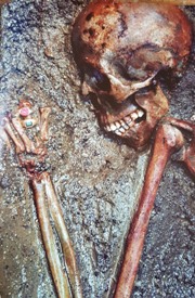 The skeletal remains of a woman killed by the eruption with ruby rings found on her left hand